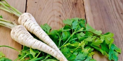 Celer i peršun: razlike